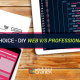 DIY Web vs Professionally Developed