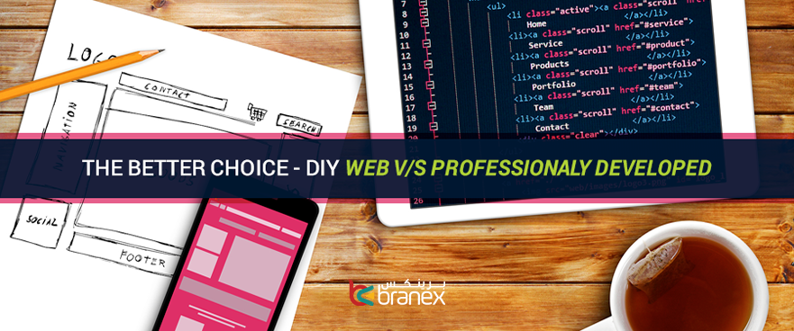 DIY Web vs Professionally Developed