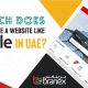 How-much-does-it-cost-to-create-a-website-like-Dubizzle-in-UAE