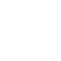 Branex Creative Agency in Dubai seal